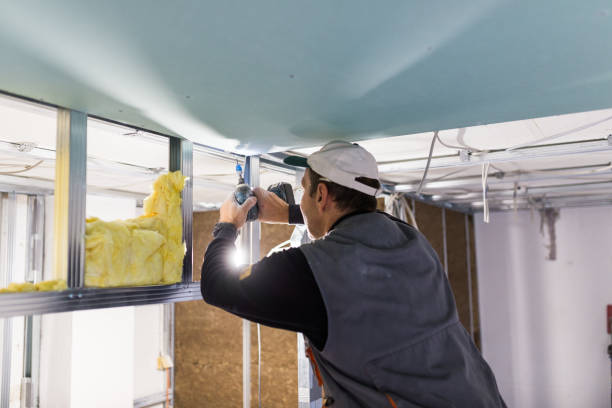 Best Insulation Materials and Products in Anoka, MN