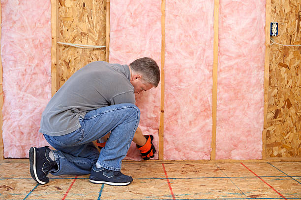 Best Insulation Installation Services in Anoka, MN
